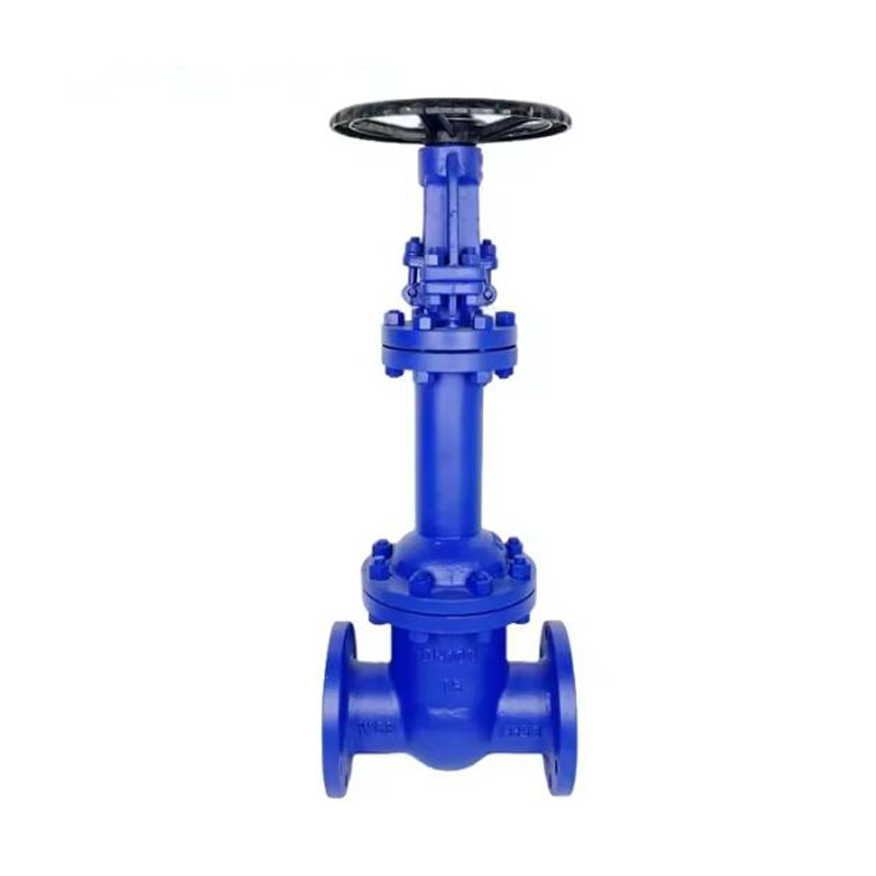 Carbon Steel Flange Bellow Seal Cryogenic Gate Valve