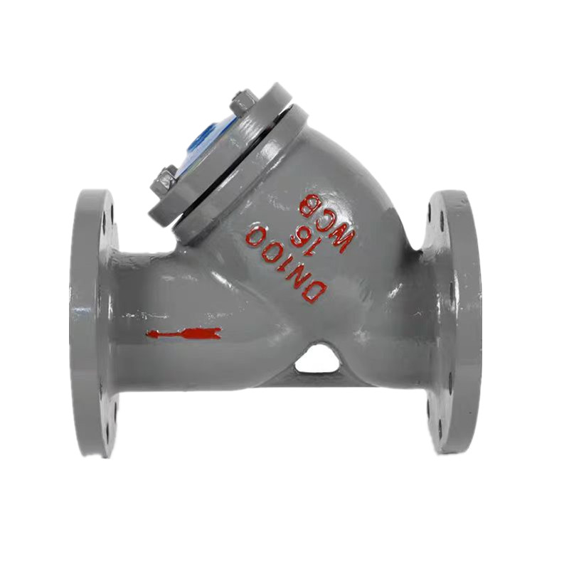 DIN PN16 Flanged Carbon Steel Y Type Sil
